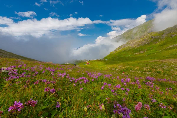 Kakar Mountains National Park Plateaus — Fotografia de Stock