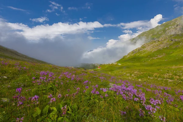 Kakar Mountains National Park Plateaus —  Fotos de Stock