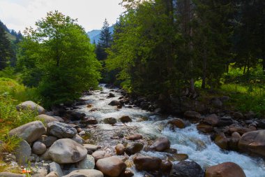 Eski tarihi taş köprüler ve doğa manzarası