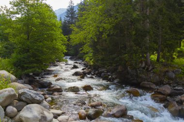 Eski tarihi taş köprüler ve doğa manzarası