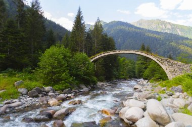 Eski tarihi taş köprüler ve doğa manzarası