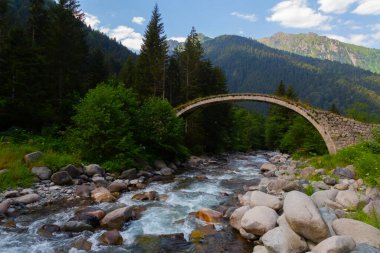 Eski tarihi taş köprüler ve doğa manzarası