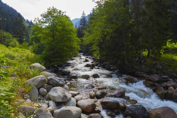 Eski tarihi taş köprüler ve doğa manzarası