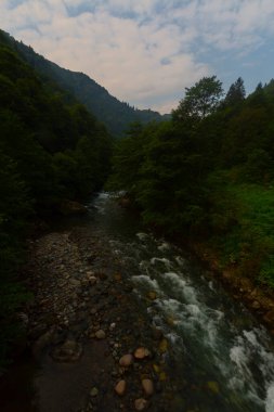 Eski tarihi taş köprüler ve doğa manzarası