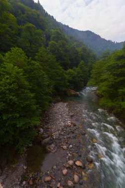 Eski tarihi taş köprüler ve doğa manzarası