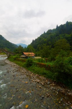 Eski tarihi taş köprüler ve doğa manzarası
