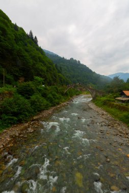 Eski tarihi taş köprüler ve doğa manzarası