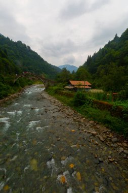 Eski tarihi taş köprüler ve doğa manzarası