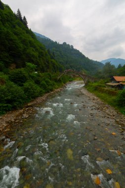 Eski tarihi taş köprüler ve doğa manzarası