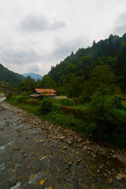 Eski tarihi taş köprüler ve doğa manzarası