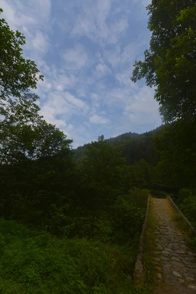 Viejos Puentes Piedra Históricos Paisajes Naturales —  Fotos de Stock