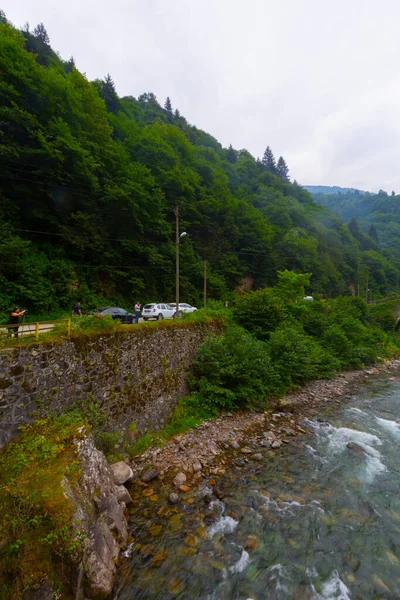 古い歴史的な石造りの橋と自然景観 — ストック写真