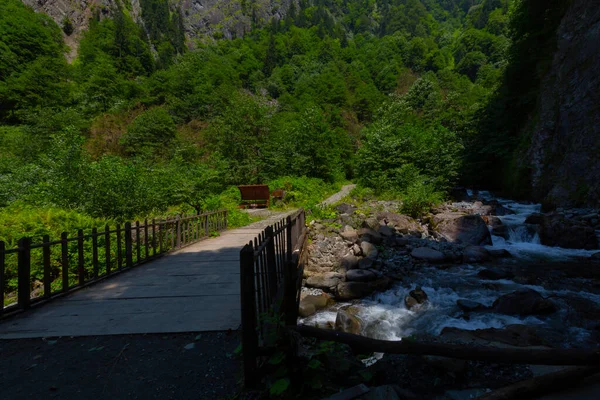 Bulut Waterval Een Van Watervallen Rize Gelegen Aan Tar Stream — Stockfoto