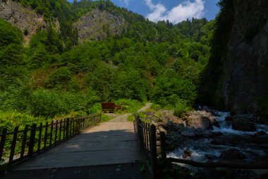 Rize 'deki şelalelerden biri olan Bulut Şelalesi, Amlhemin bölgesinden akan katran akıntısı üzerinde yer almaktadır. Kasaba merkezinden 2 kilometre uzakta.