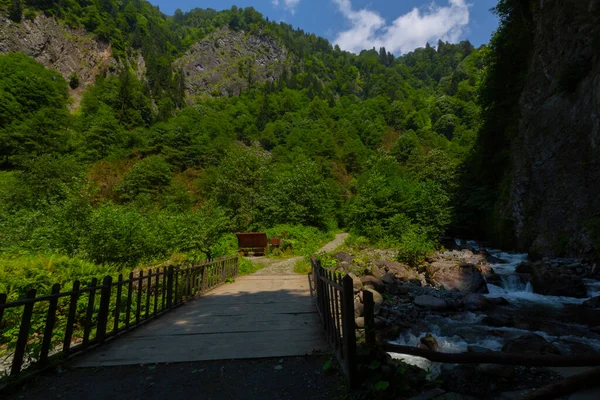 Bulut Waterfall Una Las Cascadas Rize Encuentra Corriente Alquitrán Que — Foto de Stock