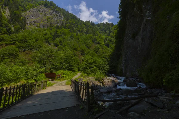 Bulut Waterval Een Van Watervallen Rize Gelegen Aan Tar Stream — Stockfoto