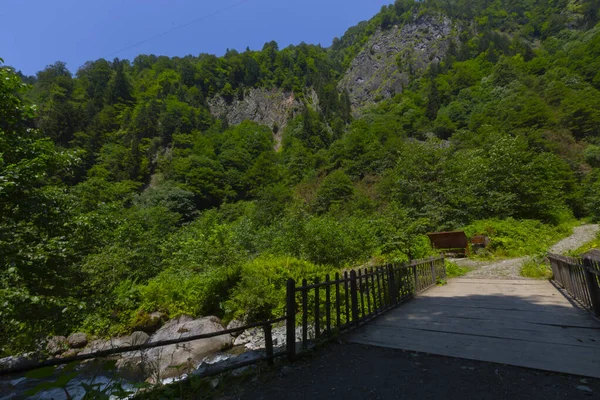 Bulut Waterfall Vattenfallen Rize Ligger Tjärströmmen Flyter Genom Amlhemin Distriktet — Stockfoto