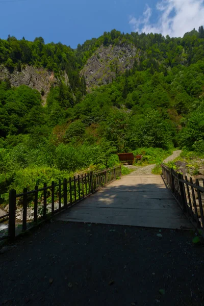 Bulut Waterfall Una Las Cascadas Rize Encuentra Corriente Alquitrán Que —  Fotos de Stock