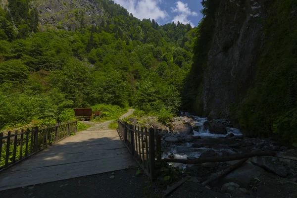 Bulut Waterfall Una Las Cascadas Rize Encuentra Corriente Alquitrán Que —  Fotos de Stock