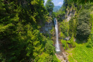 Maral Waterfall, Artvin 'in Borcka ilçesinin Karal Dağları' ndaki Maral Stream üzerinde yer alan bir şelaledir..