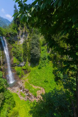 Maral Waterfall, Artvin 'in Borcka ilçesinin Karal Dağları' ndaki Maral Stream üzerinde yer alan bir şelaledir..