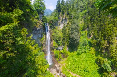 Maral Waterfall, Artvin 'in Borcka ilçesinin Karal Dağları' ndaki Maral Stream üzerinde yer alan bir şelaledir..