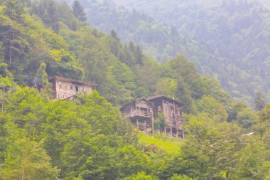 Maral Waterfall, Artvin 'in Borcka ilçesinin Karal Dağları' ndaki Maral Stream üzerinde yer alan bir şelaledir..