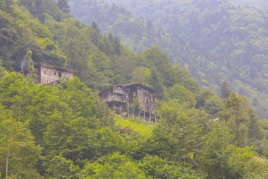 Maral Waterfall, Artvin 'in Borcka ilçesinin Karal Dağları' ndaki Maral Stream üzerinde yer alan bir şelaledir..