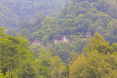 Maral Waterfall, Artvin 'in Borcka ilçesinin Karal Dağları' ndaki Maral Stream üzerinde yer alan bir şelaledir..