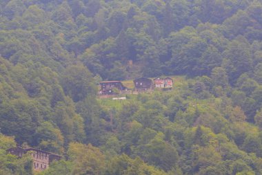 Maral Waterfall, Artvin 'in Borcka ilçesinin Karal Dağları' ndaki Maral Stream üzerinde yer alan bir şelaledir..