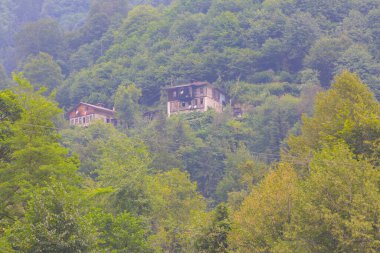 Maral Waterfall, Artvin 'in Borcka ilçesinin Karal Dağları' ndaki Maral Stream üzerinde yer alan bir şelaledir..