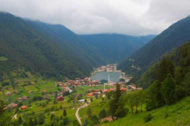 Uzungol, Trabzon ilinin Trabzon ilçesine bağlı bir göldür. Aykara ilçesinin Uzungl ilçesinde yer almaktadır. Yamaçlardan düşüp Haldizen deresini tıkayan kayalar tarafından oluşmuş..