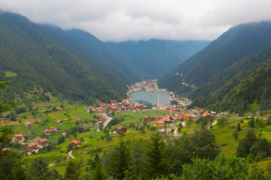 Uzungol, Trabzon ilinin Trabzon ilçesine bağlı bir göldür. Aykara ilçesinin Uzungl ilçesinde yer almaktadır. Yamaçlardan düşüp Haldizen deresini tıkayan kayalar tarafından oluşmuş..