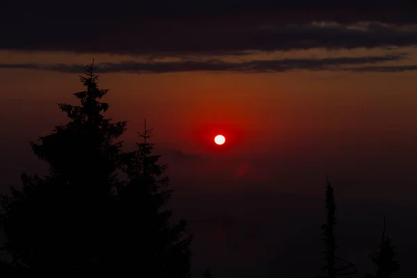 Uzungol Ist Ein Erdrutschartiger See Der Türkischen Provinz Trabzon Befindet — Stockfoto