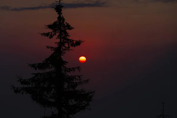 Uzungol Est Lac Situé Dans Province Trabzon Turquie Est Situé — Photo