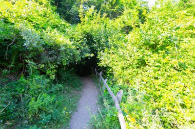 Batı Karadeniz 'in doğal güzelliklerinden biri olan Valla Kanyonu, dünyanın en derin ikinci kanyonu, üç katlı izleme terasıyla ziyaretçilerin ilgi odağı.