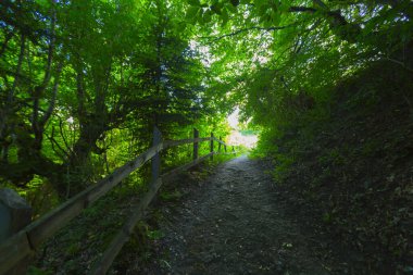 Batı Karadeniz 'in doğal güzelliklerinden biri olan Valla Kanyonu, dünyanın en derin ikinci kanyonu, üç katlı izleme terasıyla ziyaretçilerin ilgi odağı.