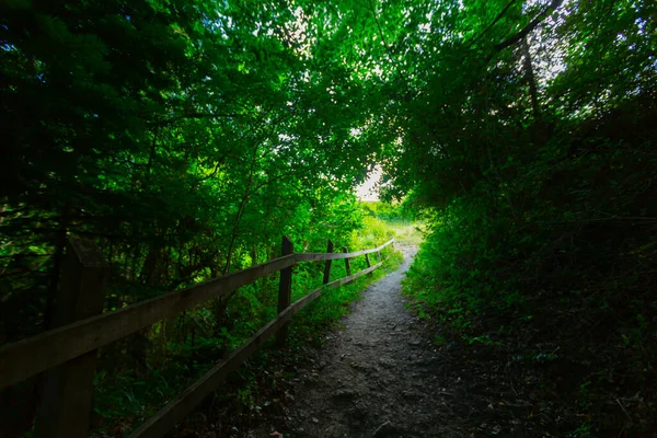 Jednym Najpiękniejszych Zakątków Zachodniej Części Morza Czarnego Valla Canyon Drugi — Zdjęcie stockowe