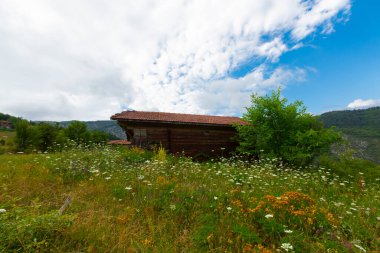 Batı Karadeniz 'in doğal güzelliklerinden biri olan Valla Kanyonu, dünyanın en derin ikinci kanyonu, üç katlı izleme terasıyla ziyaretçilerin ilgi odağı.