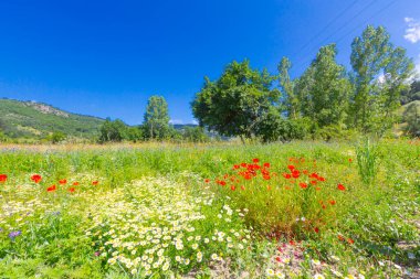 Pnarba 'nın kuzeyinde Kure Dağları, doğuda Azdavay Bölgesi ve batıda Azdavay Bölgesi.