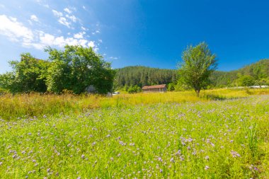Pnarba 'nın kuzeyinde Kure Dağları, doğuda Azdavay Bölgesi ve batıda Azdavay Bölgesi.