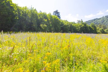Pnarba 'nın kuzeyinde Kure Dağları, doğuda Azdavay Bölgesi ve batıda Azdavay Bölgesi.