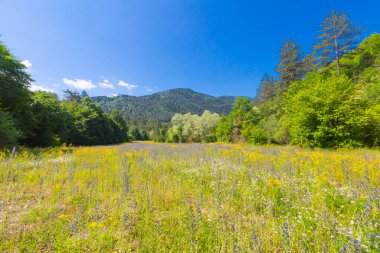 Pnarba 'nın kuzeyinde Kure Dağları, doğuda Azdavay Bölgesi ve batıda Azdavay Bölgesi.