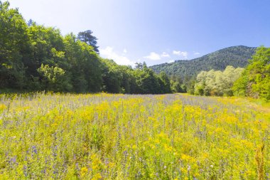 Pnarba 'nın kuzeyinde Kure Dağları, doğuda Azdavay Bölgesi ve batıda Azdavay Bölgesi.