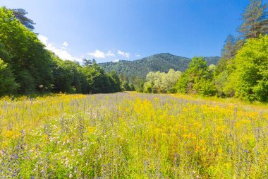 Pnarba 'nın kuzeyinde Kure Dağları, doğuda Azdavay Bölgesi ve batıda Azdavay Bölgesi.