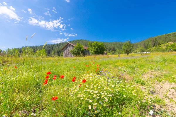 Kure Mountains Het Noorden Van Pnarba Azdavay District Het Oosten — Stockfoto