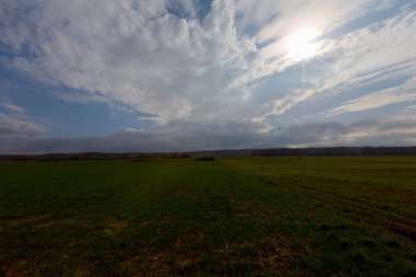 Kiyikoy, Kirklareli ili sınırları içinde, doğal güzellikleriyle göze çarpan Vize ilçesine bağlı bir sahil kasabasıdır..