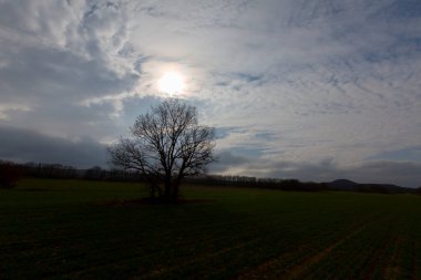 Kiyikoy, Kirklareli ili sınırları içinde, doğal güzellikleriyle göze çarpan Vize ilçesine bağlı bir sahil kasabasıdır..