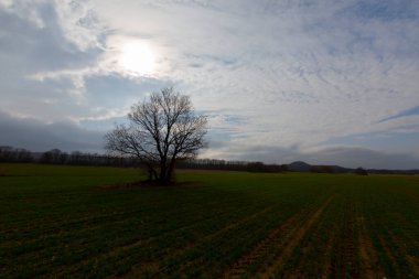Kiyikoy, Kirklareli ili sınırları içinde, doğal güzellikleriyle göze çarpan Vize ilçesine bağlı bir sahil kasabasıdır..