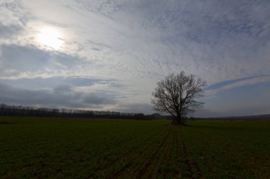 Kiyikoy, Kirklareli ili sınırları içinde, doğal güzellikleriyle göze çarpan Vize ilçesine bağlı bir sahil kasabasıdır..